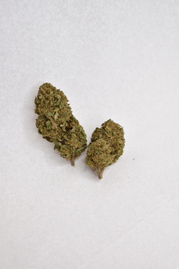Flor de CBD